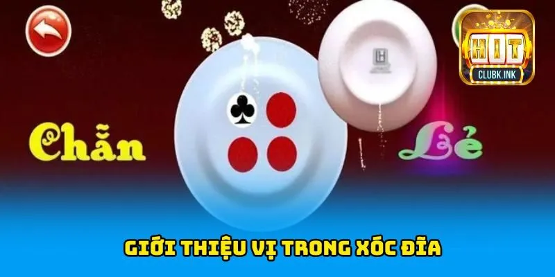 Giới thiệu vị trong xóc đĩa