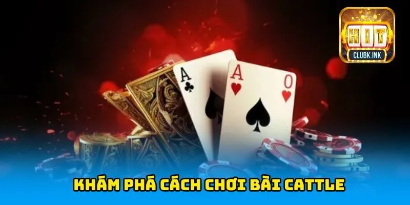 Khám phá cách chơi cơ bản của bài Cattle